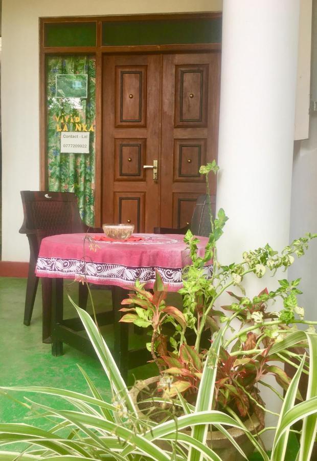 Vivid Lanka Bed and Breakfast Bentota Eksteriør billede
